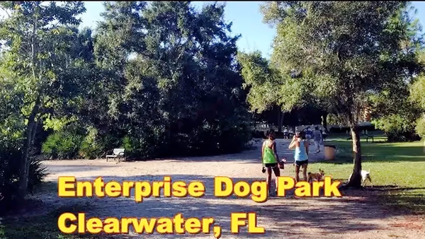 Enterprise Dog Park photo 1
